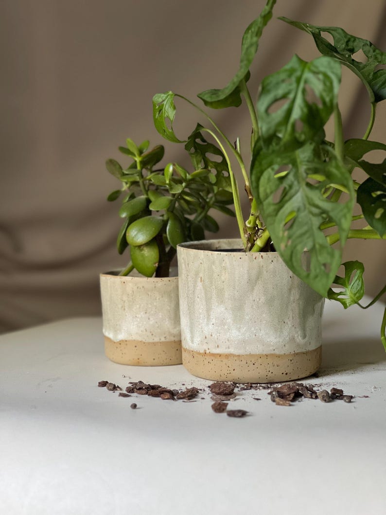 How to choose a suitable flowerpot for small plants?
