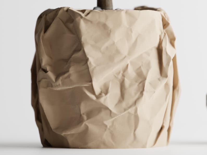 3D-gedruckte Vase mit einzigartiger Papierverpackung und minimalistischem Design