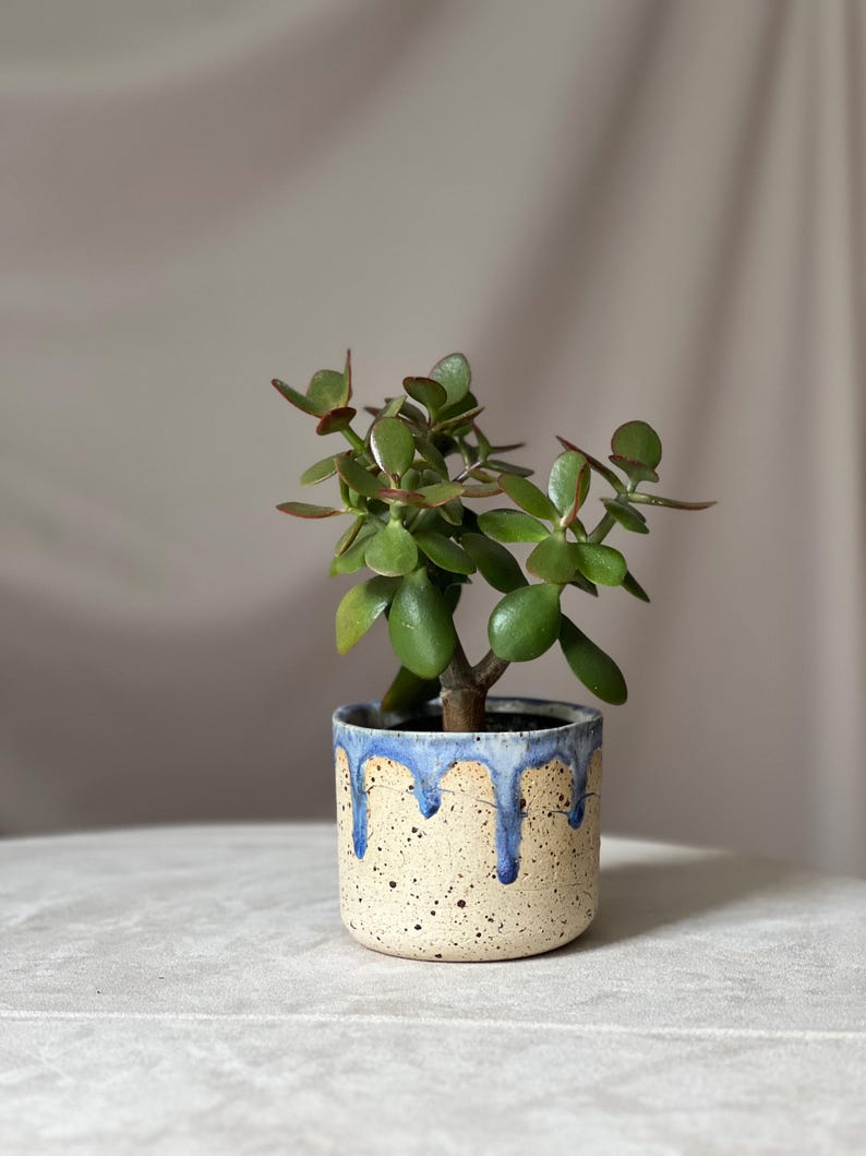 Traditioneller Blumentopf aus blau glasierter Keramik